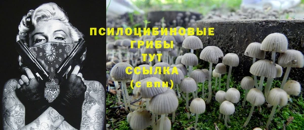 герыч Абаза