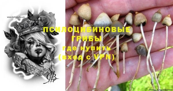 герыч Абаза
