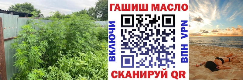 MEGA онион  Болохово  Дистиллят ТГК вейп с тгк  где найти  