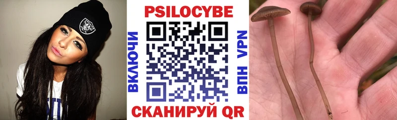 Галлюциногенные грибы Psilocybine cubensis  наркота  Болохово 